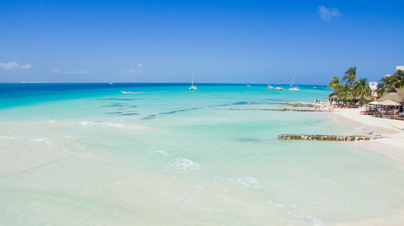 Sargassum-free beach