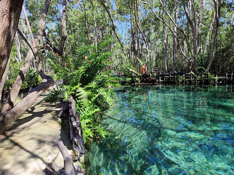 Cenote