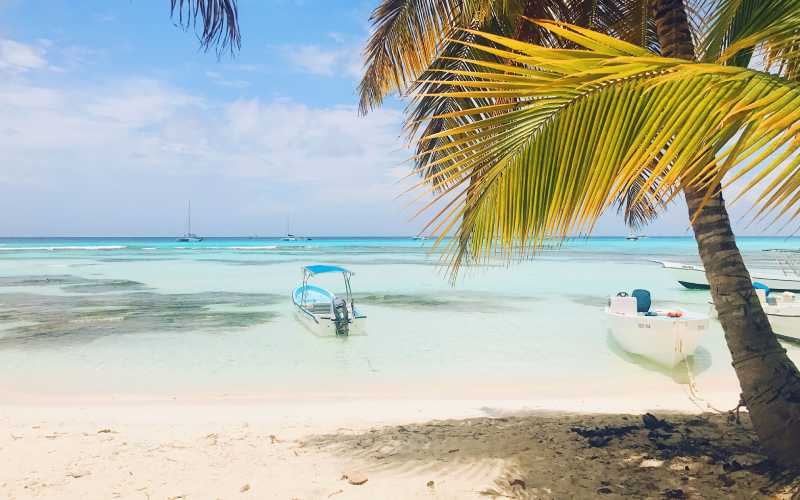Beach with crystalline waters, palm trees and boats