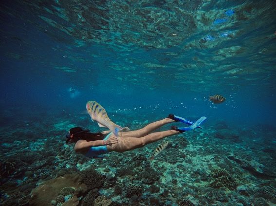 Personas practicando snorkel sobre el Arrecife Manchones.