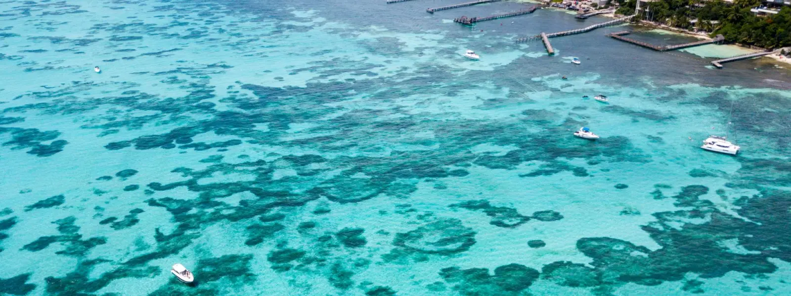 Manchones Reef: A Natural Treasure of Isla Mujeres Manchones Reef: A Natural Treasure of Isla Mujeres