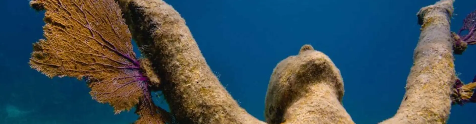 MUSA Isla Mujeres