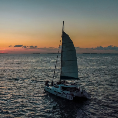 Catamaran sailing in the Caribbean sea