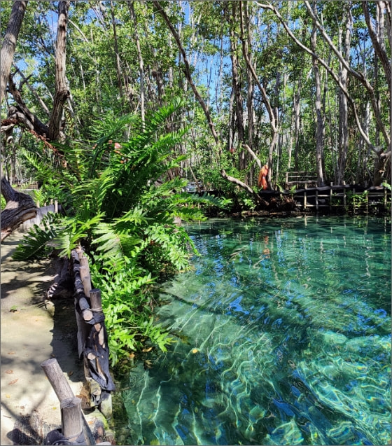 Cenote located very close to Isla Mujeres