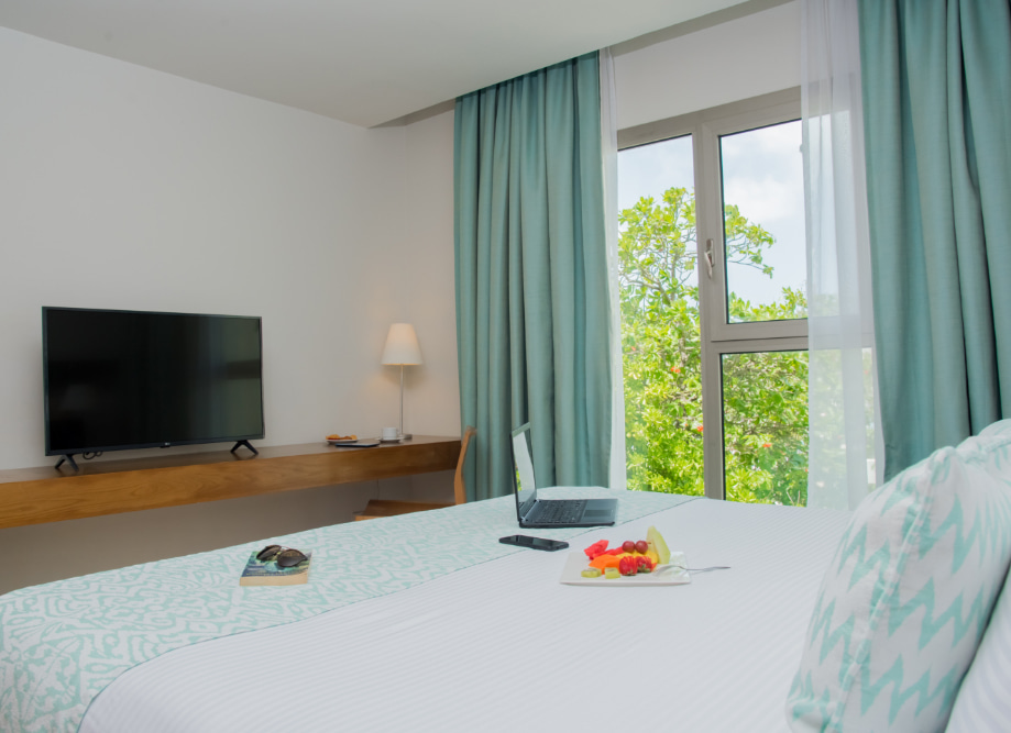 Aluxes Room with Satellite Television